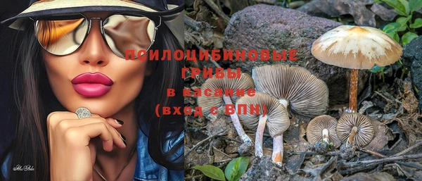 молекула духа Осинники
