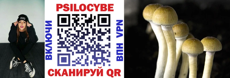 Псилоцибиновые грибы Psilocybe  OMG ONION  Благодарный 